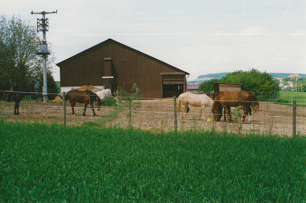 Pferdepension Bühlhof Ötisheim Familie