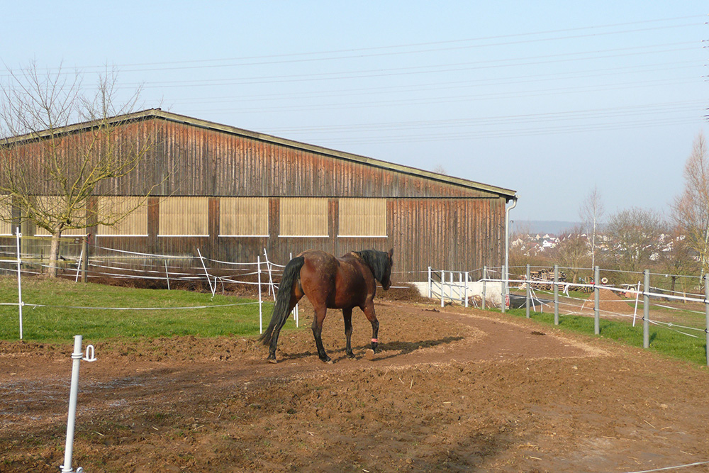 Pferdepension Bühlhof Ötisheim Bewegungsstall